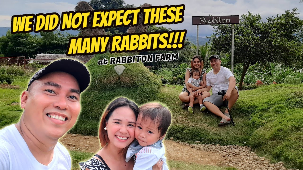 BACK IN PAMPLONA (FOUND OURSELVES IN THE MIDST OF RABBITS) - YouTube