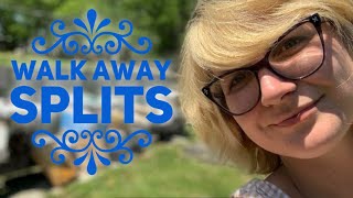 Time To Make Splits Easy Walkaway Bee Hive Splits - Girl Beekeeping - Like My Bee On A Bike Shirt?