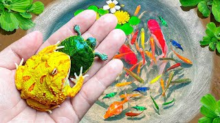 Catch Tiny Pacman Frogs & Baby Turtles In The Lake, Find Three Tailed Fish, Guppies, Carp, Catfish