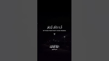 سورة المؤمنون - أنس العمادي #quran #سورة_المؤمنون #انس_العمادي #اكسبلور #تلاوة_خاشعة