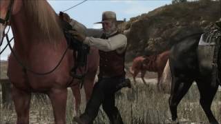 Red Dead Redemption Wild Horses music video