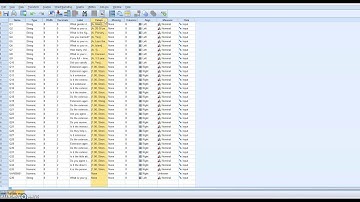 SPSS PILOT STUDY (RELIABILITY ANALYSIS) - CASE STUDY