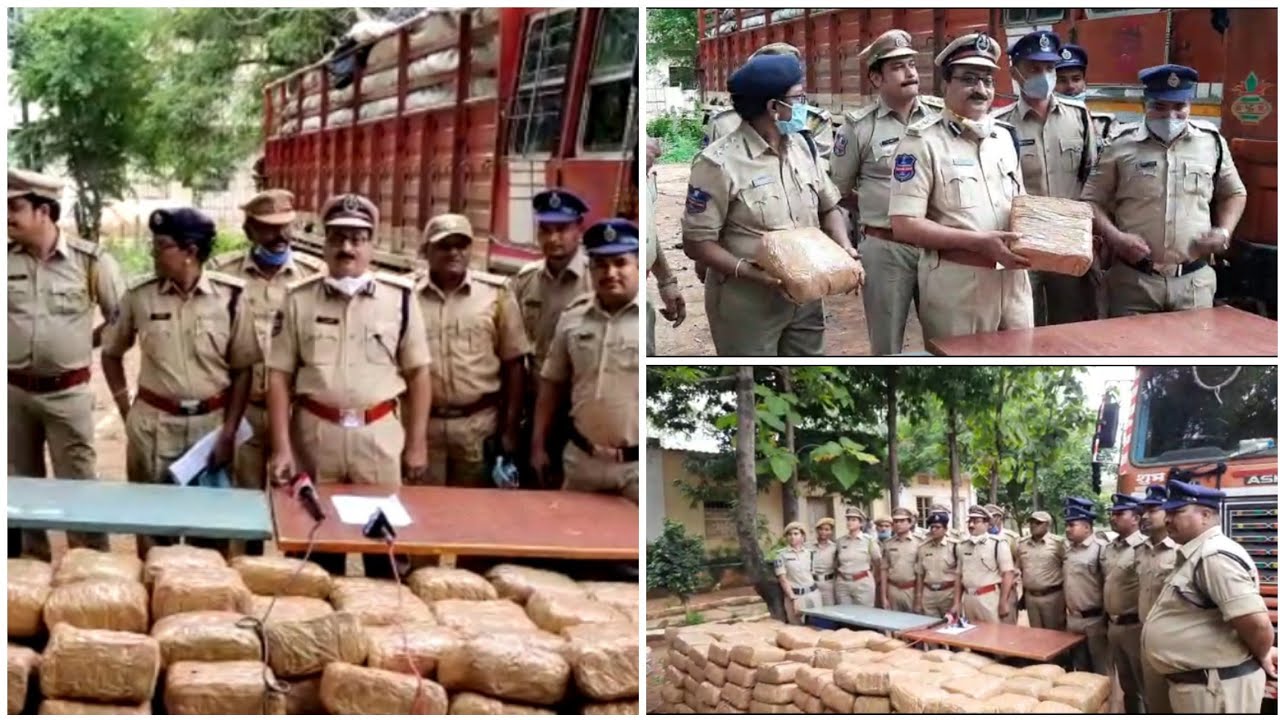 Sanagreddy: Excise and Enforcement officials arrested five persons and seized 600 kgs of dry ganja f