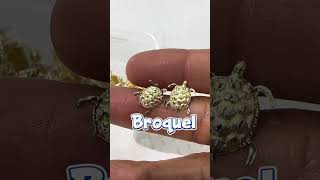 🔥Mayoreo🔥 Broquel en Oro 10K💲Super precios 💛Duplica tu dinero ya! #magalajewelry #magalajoyeria