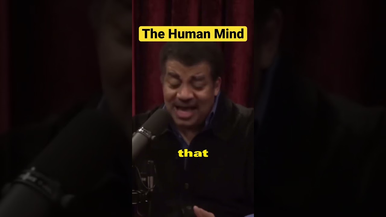 Neil DeGrasse Tyson The Human Mind #shorts #human Neil DeGrasse Tyson The Human Mind #shorts #human
