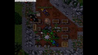 Wasp Tower Trap - Rookgard