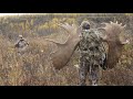 Two 70" moose on one hunt!  Never been achieved before!