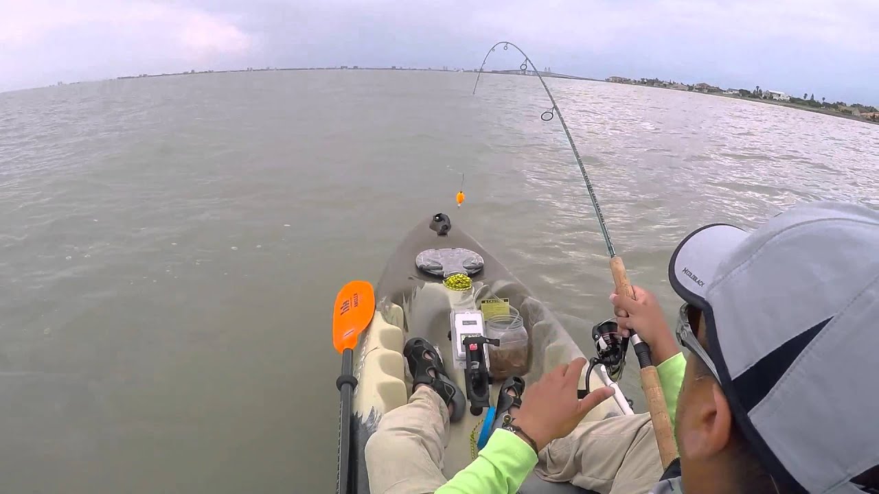 bay fishing trips spi