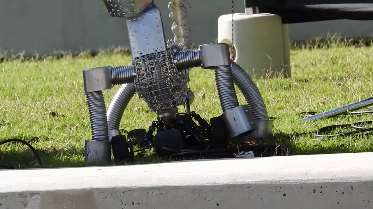 Juzzie Smith and Erik the Dog @ Bluesfest 2016