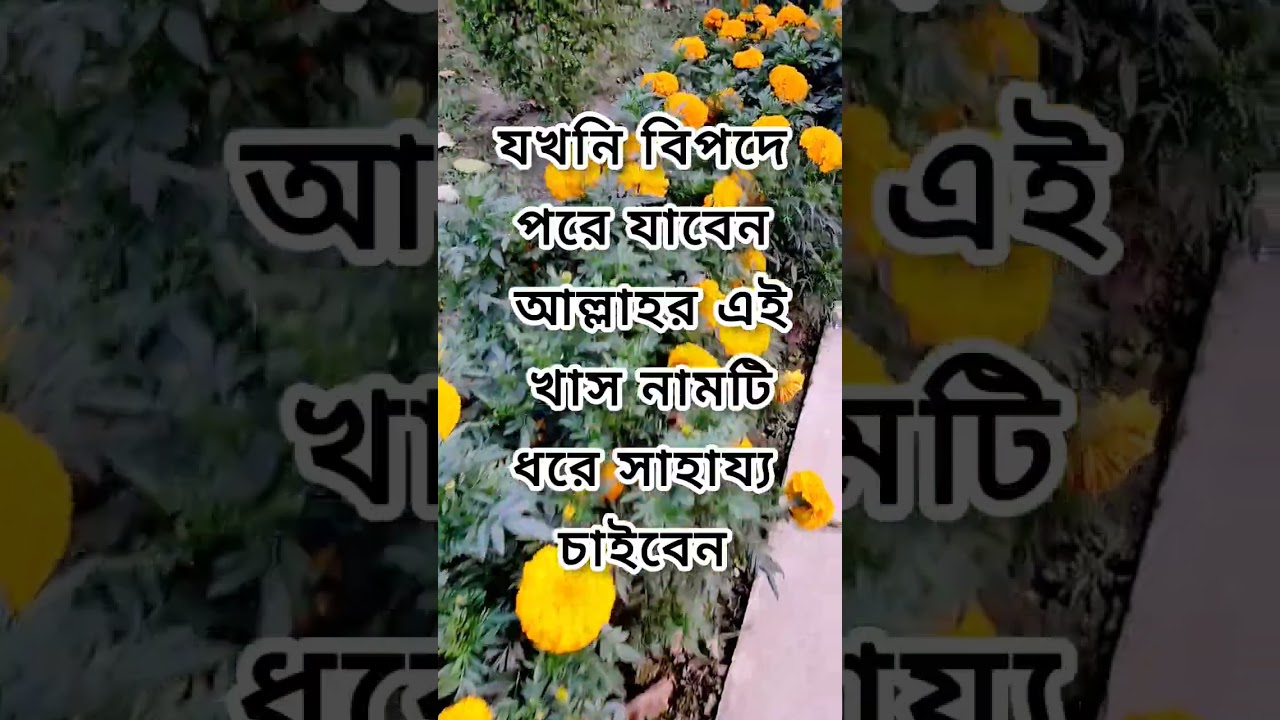 যখনি বিপদে পরে যাবেন আল্লাহর এই খাস নামটি ধরে দোয়া করবেন #youtubeshorts  #বিপদথেকেমুক্তিরদোয়া ❤️🤲💥