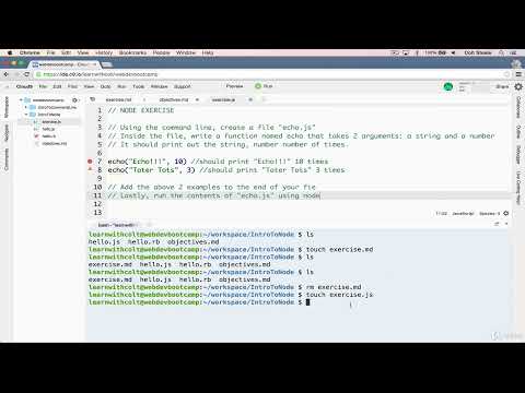 3    Node Echo Exercise    Full tutorial for Beginners
