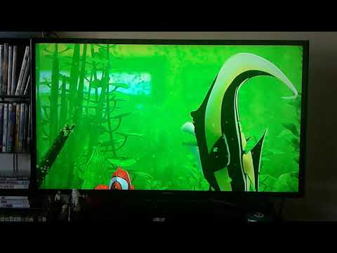 Finding Nemo (2003) Algae in the Fish Tank