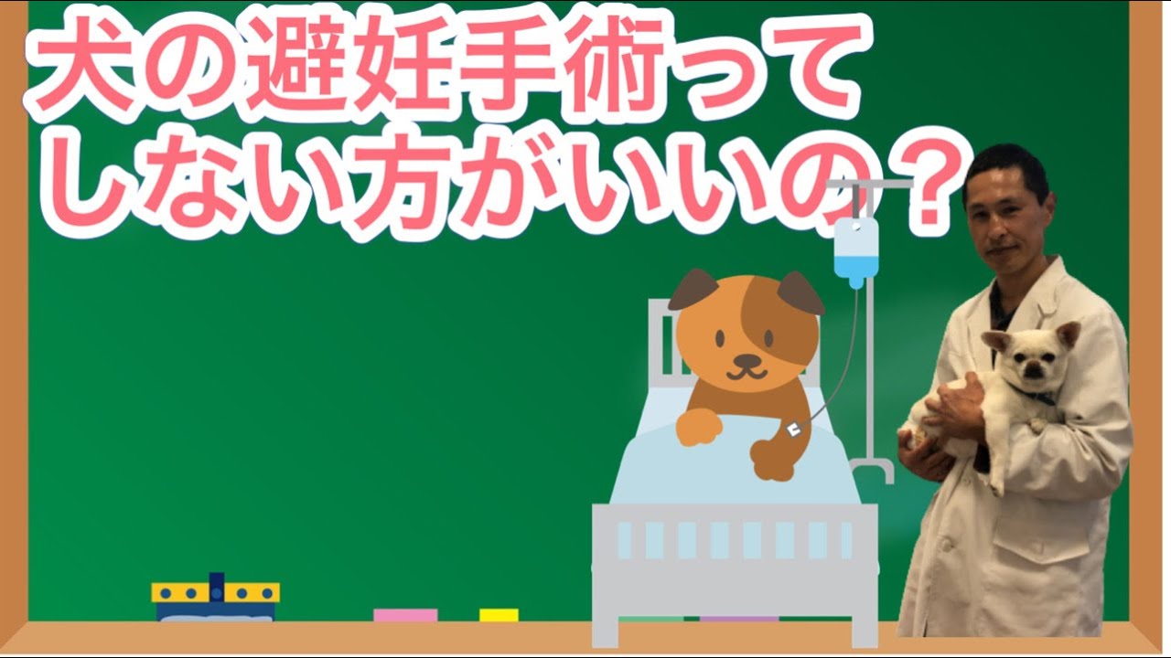 犬 避妊 手術 しない 方 が いい