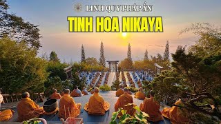 Tinh Hoa NIKAYA - Chân Nhân Tịch Tĩnh - Kinh BHADDIYA 2 - Tăng Chi II *