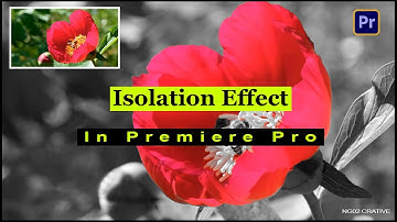 Cinematic Color Isolation Effect in Premiere Pro | Tutorial