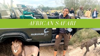 Luxury South African Safari| Mala Mala Game Reserve Room Tour| Kruger Park| Lions Mating