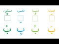 تعلم نطق حرف الباء مع الحركات القصيرة الفتحة الضمة الكسرة السكون تعليم الأطفال