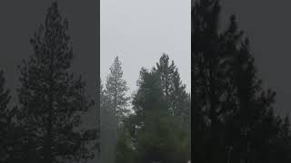 Now it’s pouring down rain here in Mt Shasta CA
