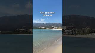 Pasa el verano en un hotel en primera línea de playa 🏨 🏖