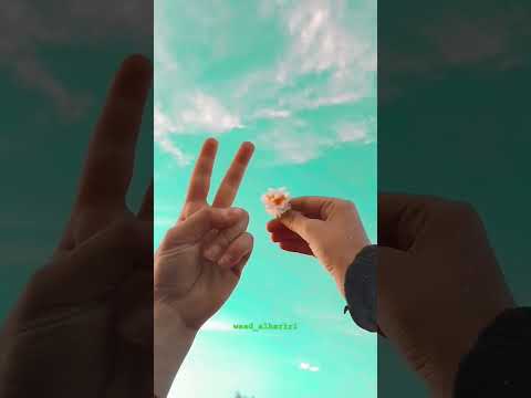 علو العلم وخلو نجومو