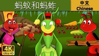 蚂蚁和蚂蚱 | Ant And The Grasshopper in Chinese |    @ChineseFairyTales