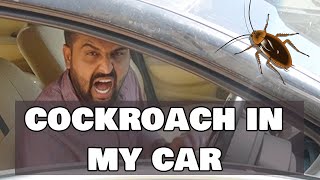 There is A Cockroach In My Car