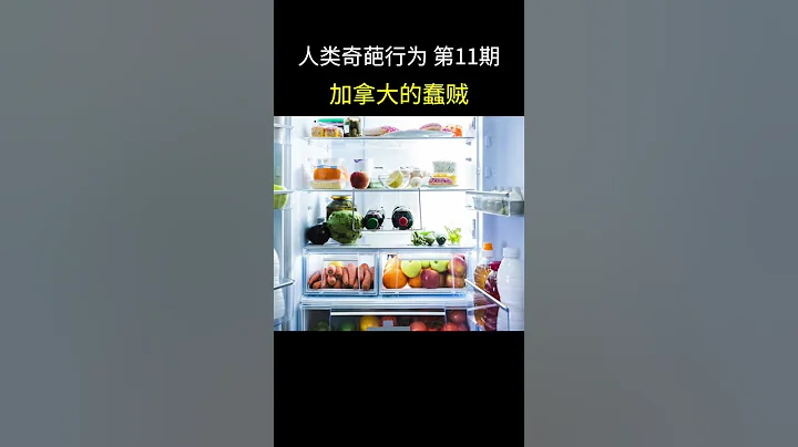 人類奇葩行為 第11期：加拿大的蠢賊 - 天天要聞