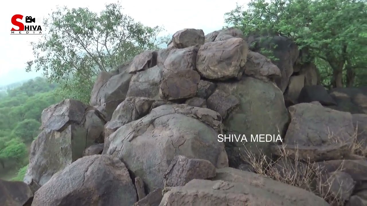 வீரப்பன் வாழ்ந்த காட்டுப்பகுதி ...! கல் இச்சி  மரத்து கல்லாட்டை நேரடி காட்சிகள்...!