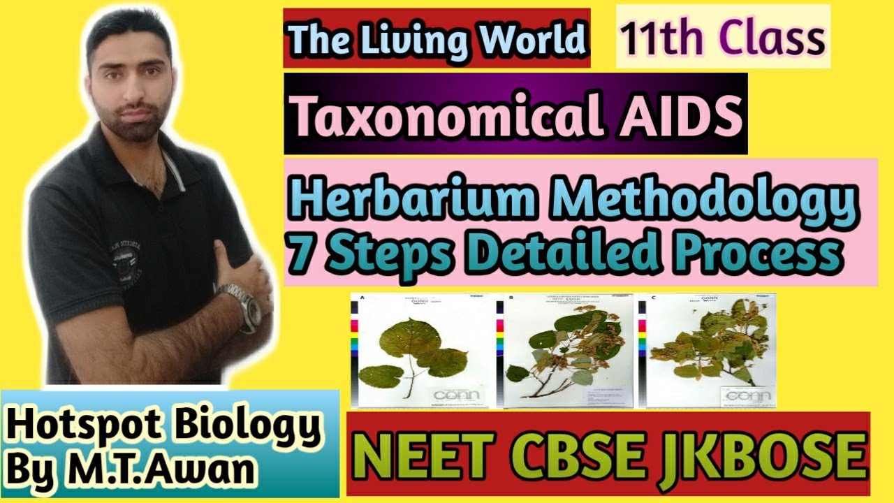 Lecture 11 Class 11 Biology CHAPTER 1 Taxonomical AIDS 1 HERBARIUM lecture-11-class-11-biology-chapter-1-taxonomical-aids-1-herbarium