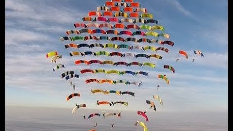 2025 Canopy Formation World Record