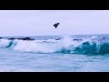 BIGGEST SKIMBOARDING AIR EVER!