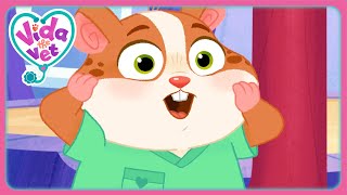 Einschlafen mit Vida, der Tierärztin | Vida, die Tierärztin | Zeichentrickfilme für Kinder