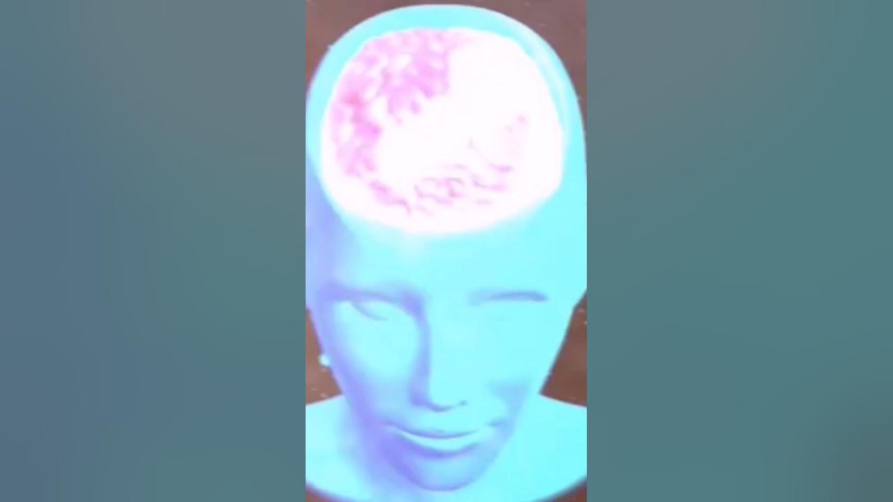 why-am-i-smart-youtube