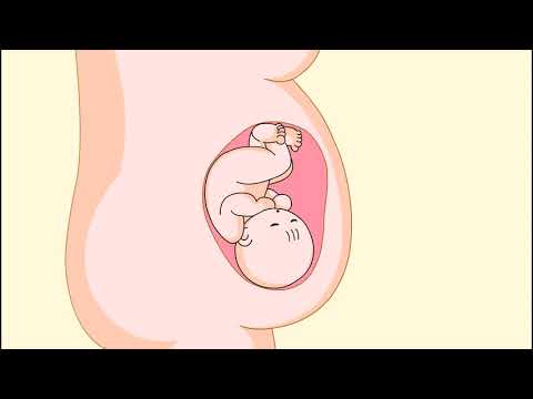 乃(이에 내)