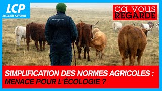 Simplification des normes agricoles : menace pour l'écologie ? | Ça vous regarde - 16/05/2024