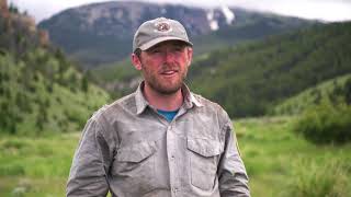 Mule Deer Foundation, Robb Ledford Project