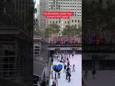 Video: Vše o vánočním stromečku Rockefeller Center