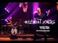 Animal ДжаZ — Чувства (Live @ Мой музыкальный)