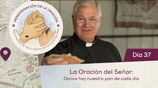 🙏 Día 37 - La oración del Señor: Danos hoy nuestro pan de cada día | Peregrinación de la Oración