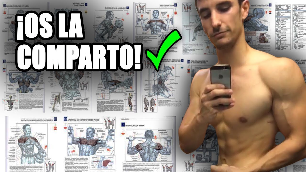 powerexplosive academy MI RUTINA DE VOLUMEN ACTUAL