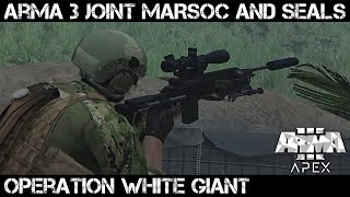 ArmA 3 SOCOM Gameplay - Operation White Giant - Marine Raiders and SEALs