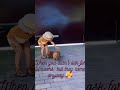 #shorts #youtubeshorts #funnyshorts #doglovers #kidlife #puppyfun #viralshorts #cutenessoverload