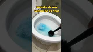 El Truco SECRETO Para Limpiar el Inodoro que NADIE te Cuenta!