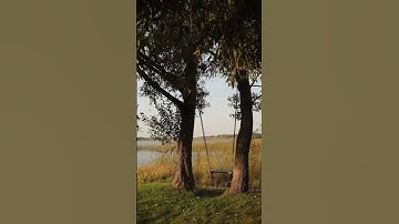 ما تيسر من سورة الكهف بصوت الشيخ سعد الغامدي  #quran#القرآن_الكريم