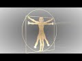 Zenithity Trailer