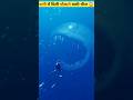 अद्भुत चीजें पानी में देखिए! 🌊