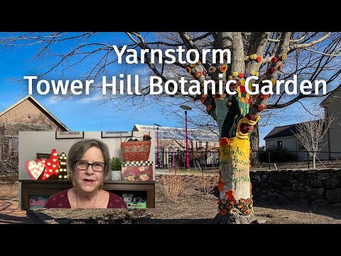 Yarnstorm at Tower Hill Botanic Garden - January 19, 2021