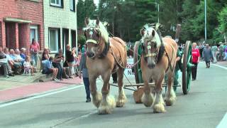 Belgian Draft Horses-Keerbergen-Karren-en wagenstoet-2013