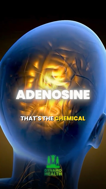 Caffeine Withdrawal Hits HARD (Science Explained)