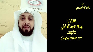 القارئ ربيع عبدالعاطي